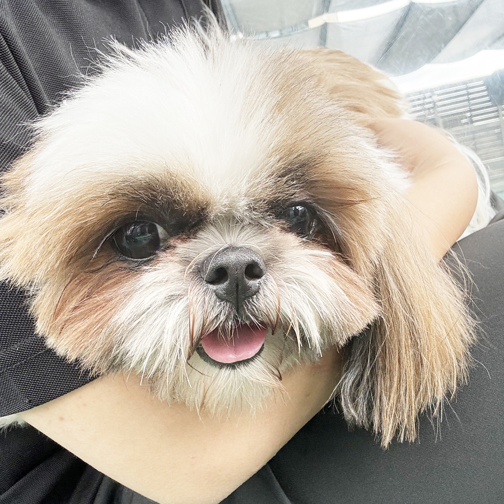 Ｗａｎ活で生徒が撮影した写真♪③